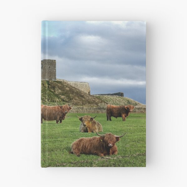 Item preview, Duffus Castle Highland Cattle designed and sold by Tom McPherson Photography.