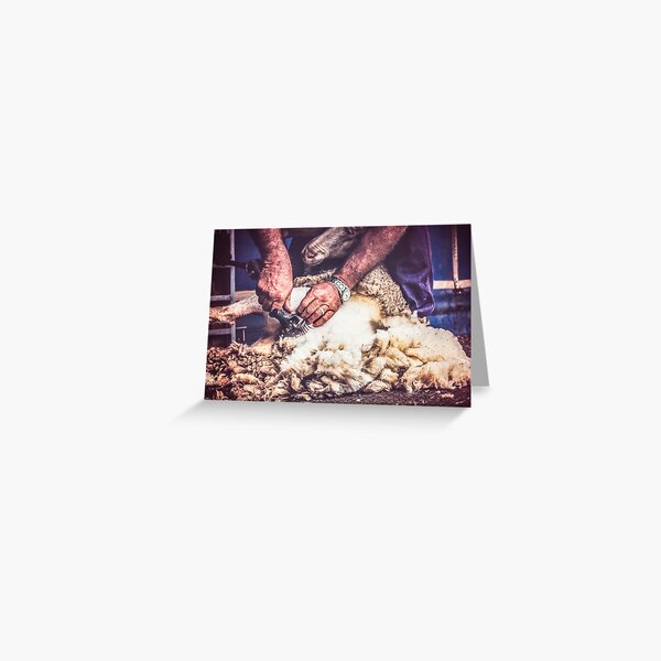 Festival Shearing Greeting Card