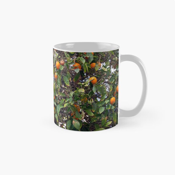 Item preview, An urban orange tree designed and sold by Leighton Collins.