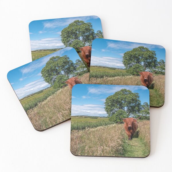 Item preview, Scottish Highland Cow designed and sold by Tom McPherson Photography.