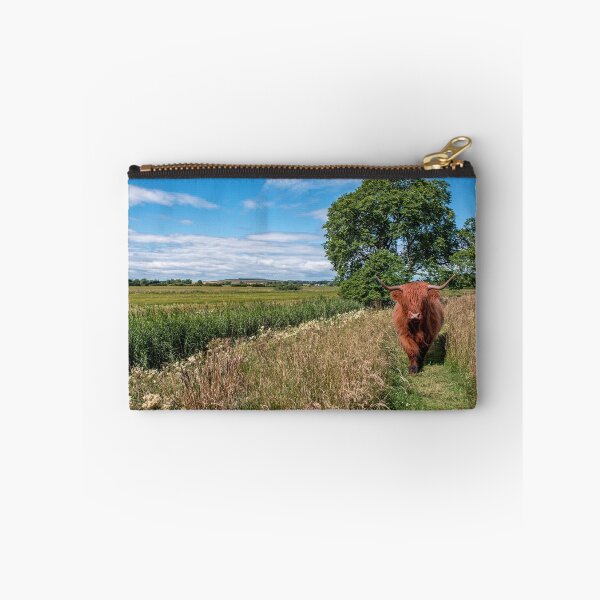 Item preview, Scottish Highland Cow designed and sold by Tom McPherson Photography.