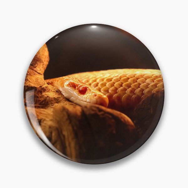 Item preview, Albino Corn Snake designed and sold by Nightenghale.