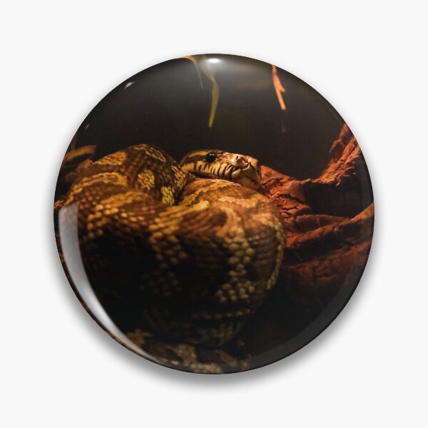 Item preview, Carpet Python designed and sold by Nightenghale.