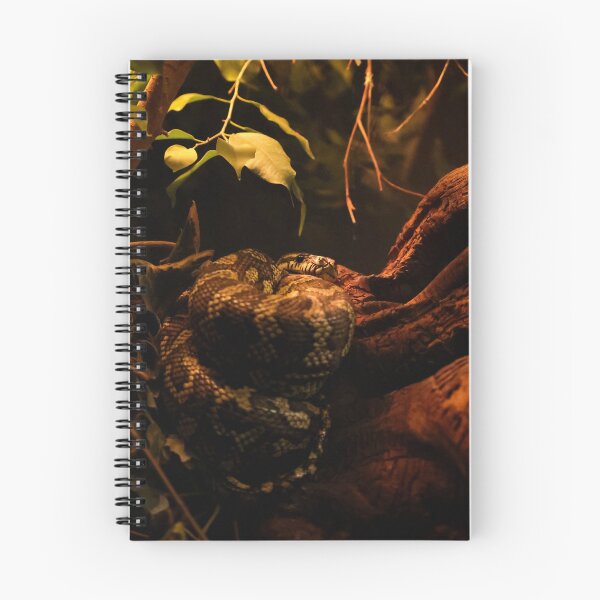 Item preview, Carpet Python designed and sold by Nightenghale.