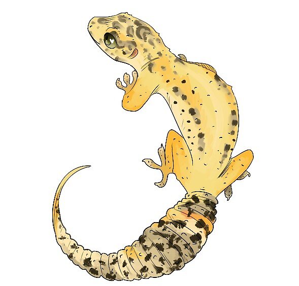 "Leopard Gecko Sticker - Normal" by tendogs | Redbubble