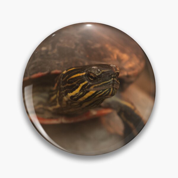 Item preview, Painted Turtle designed and sold by Nightenghale.