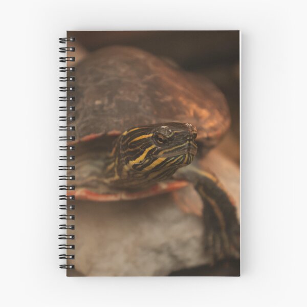 Item preview, Painted Turtle designed and sold by Nightenghale.