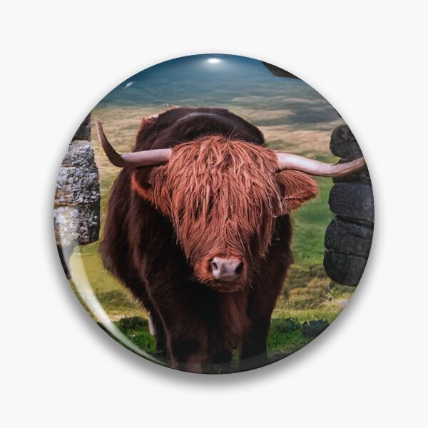 Item preview, Scottish Highland Cow designed and sold by Tom McPherson Photography.