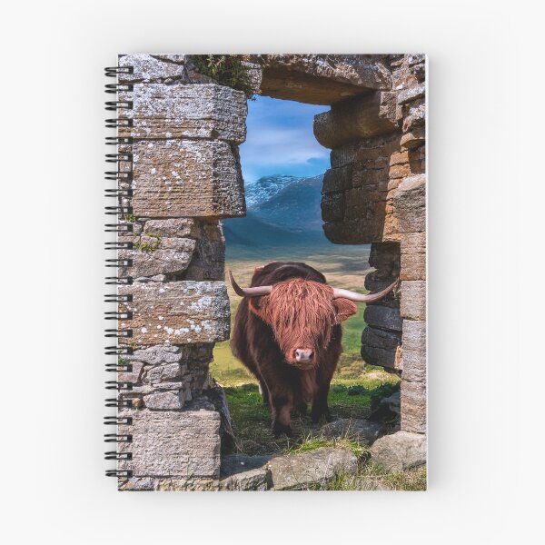 Item preview, Scottish Highland Cow designed and sold by Tom McPherson Photography.