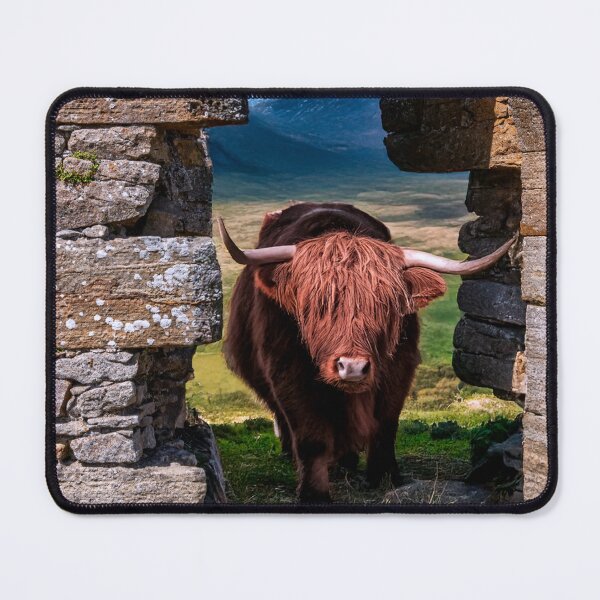 Item preview, Scottish Highland Cow designed and sold by Tom McPherson Photography.