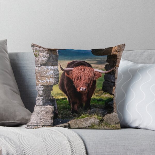 Item preview, Scottish Highland Cow designed and sold by Tom McPherson Photography.