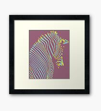 Zebra Dreams Framed Print
