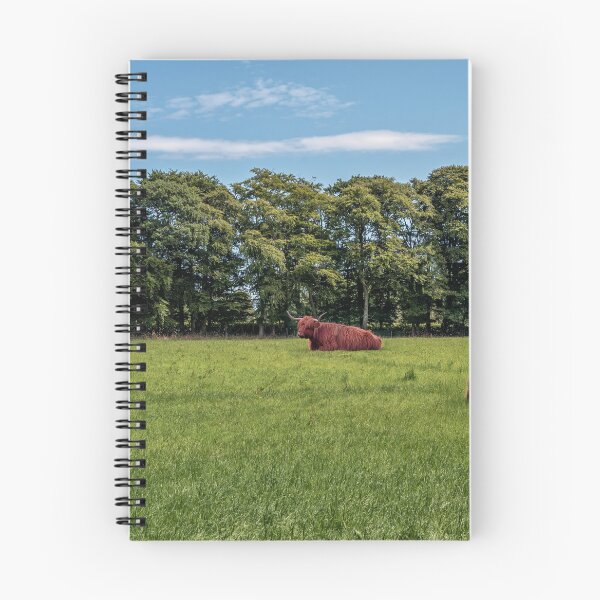 Item preview, Highland Cows designed and sold by Tom McPherson Photography.