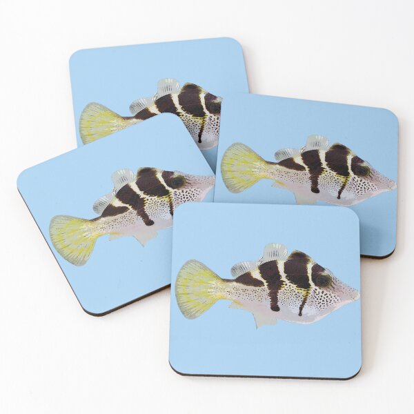Item preview, Mimic Filefish Color Design  designed and sold by designsasstultd.