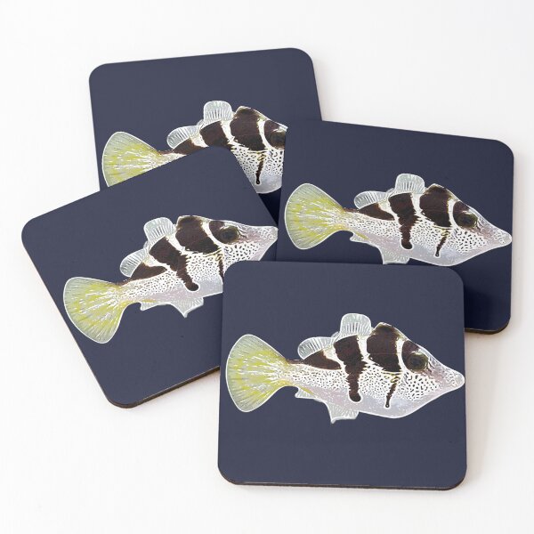 Item preview, Mimic Filefish White Alternate Design  designed and sold by designsasstultd.