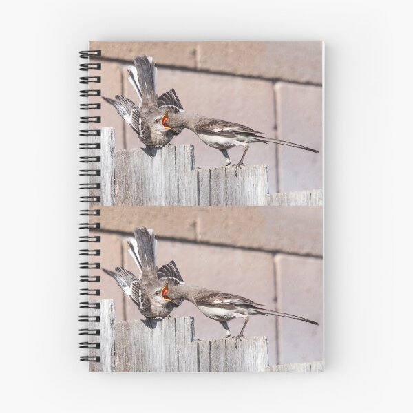 Item preview, Mama Mockingbird Feeds Fledgling designed and sold by CarolM.
