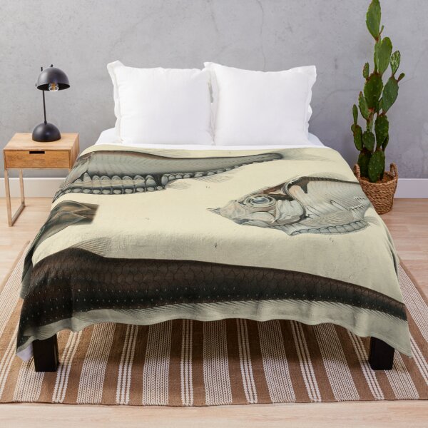 Item preview, Vintage Fish Zoological Print Illustration designed and sold by InnerCitadel.