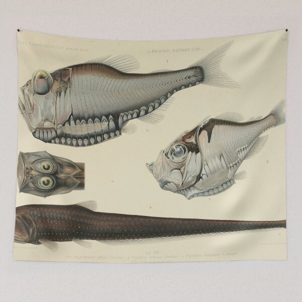 Item preview, Vintage Fish Zoological Print Illustration designed and sold by InnerCitadel.