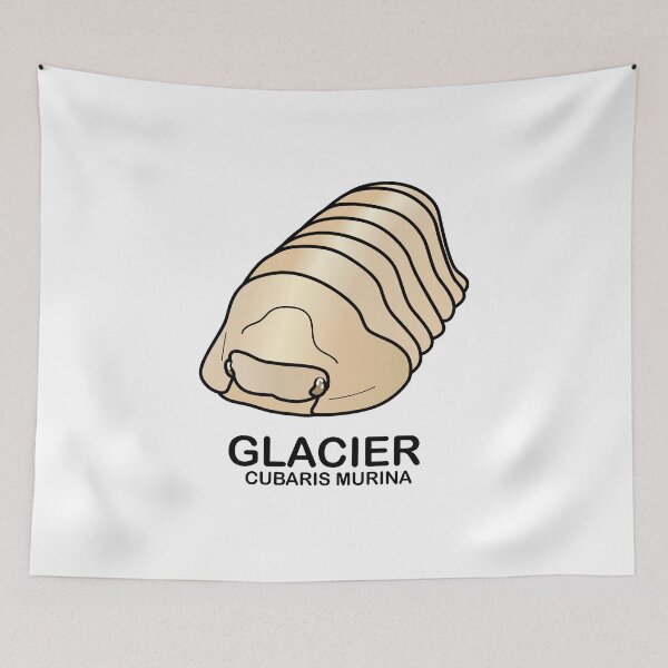 Item preview, Cubaris Murina 'Glacier' designed and sold by ArmadilloPods.