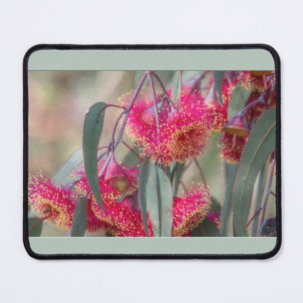 Item preview, Australian Eucalyptus Princess Caesia designed and sold by Ozjanette90.