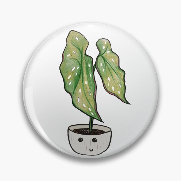 Item preview, Cute Begonia Maculata designed and sold by Luilui7.