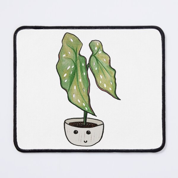 Item preview, Cute Begonia Maculata designed and sold by Luilui7.