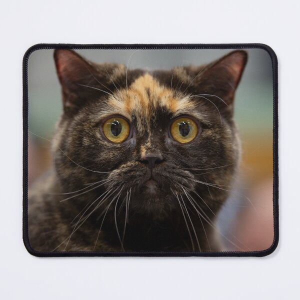 Item preview, Cat portrait designed and sold by ART-SUNRISE.