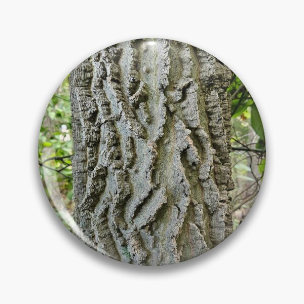 Item preview, Northern Hackberry - Bark designed and sold by TheNatureNerd.