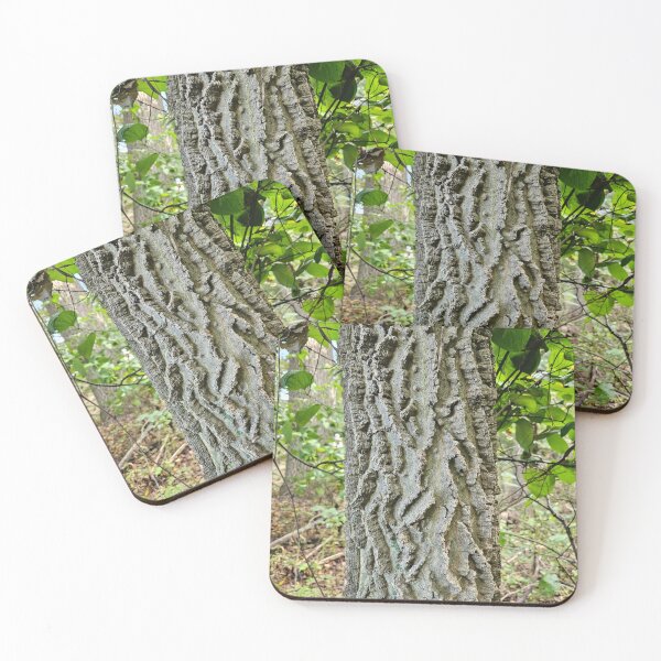 Item preview, Northern Hackberry - Bark designed and sold by TheNatureNerd.