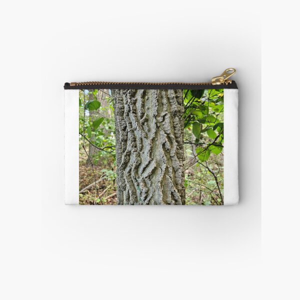 Item preview, Northern Hackberry - Bark designed and sold by TheNatureNerd.
