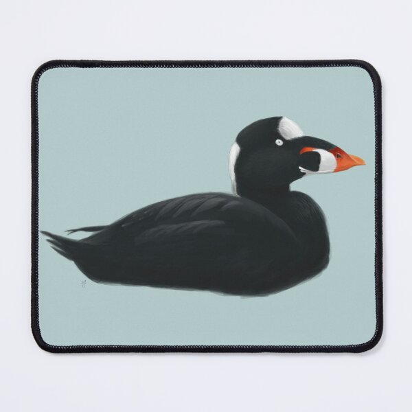 Item preview, Surf Scoter designed and sold by Wildlife Art by Holly.