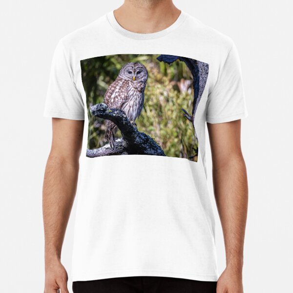 Item preview, Barred Owl Terry Nunn Photography  designed and sold by Terry Nunn Photography.
