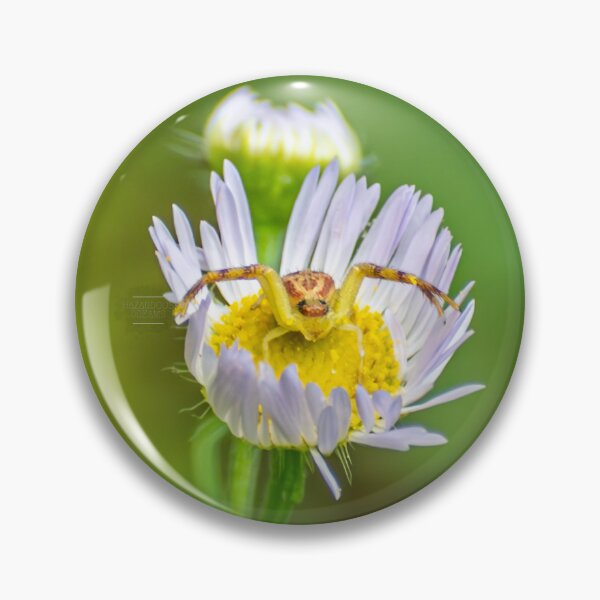Item preview, En Garde  designed and sold by Hazardous Dreams Media.