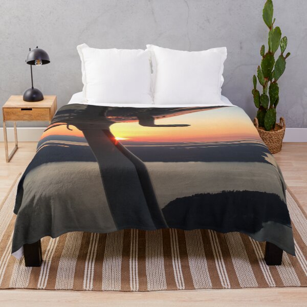 Item preview, Flying Olympic Mountain Sunset designed and sold by flyscenicair.