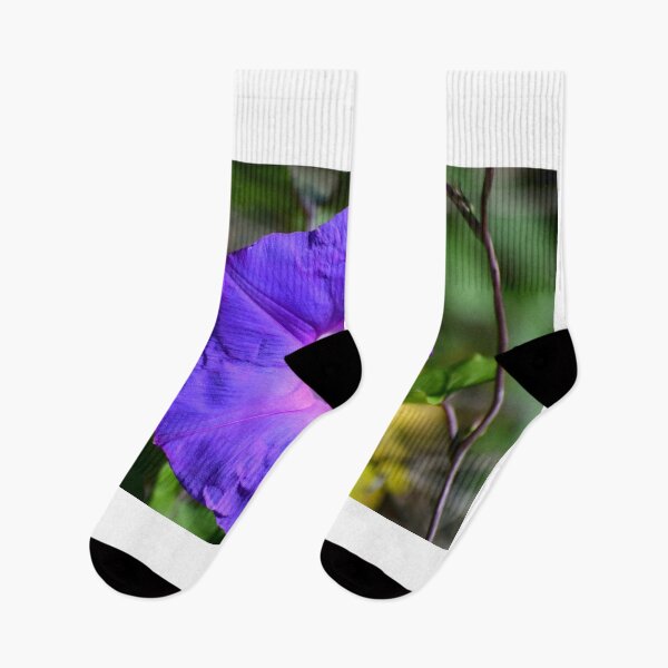Item preview, Blue Morning Glory designed and sold by MercerImages.