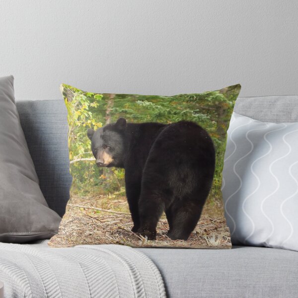 Item preview, Black Bear Canada designed and sold by pawprintz.