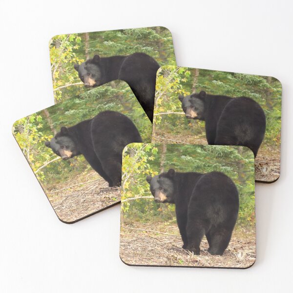 Item preview, Black Bear Canada designed and sold by pawprintz.