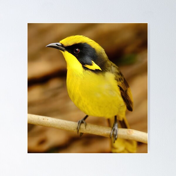 Item preview, Helmeted Honeyeater designed and sold by pawprintz.