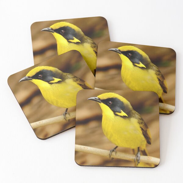 Item preview, Helmeted Honeyeater designed and sold by pawprintz.
