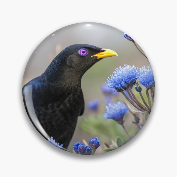 Item preview, Satin Bowerbird designed and sold by pawprintz.