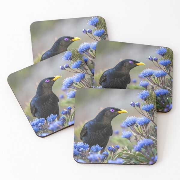 Item preview, Satin Bowerbird designed and sold by pawprintz.