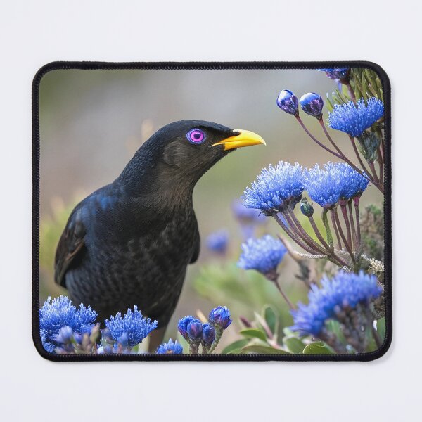 Item preview, Satin Bowerbird designed and sold by pawprintz.