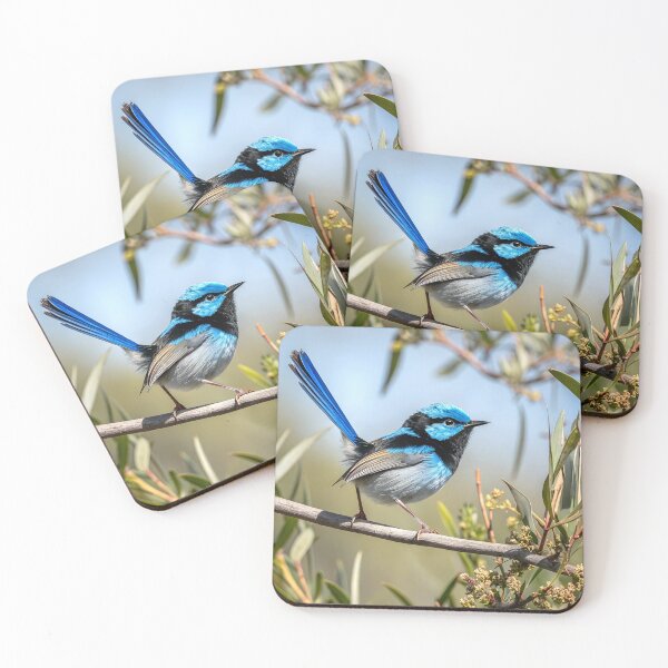 Item preview, Superb fairy-wren designed and sold by pawprintz.