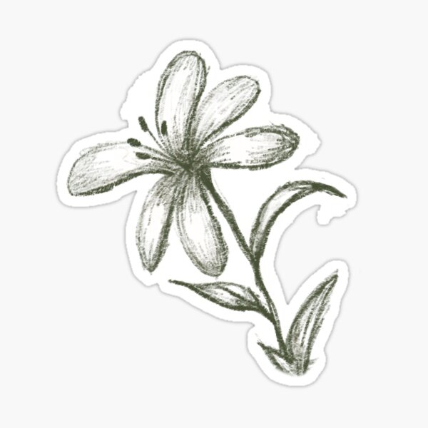Vista previa del artículo con la obra «Boceto floral a lápiz», diseñado y vendido por OJGray.