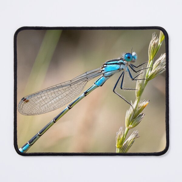 Item preview, Blue Damselfly designed and sold by pawprintz.