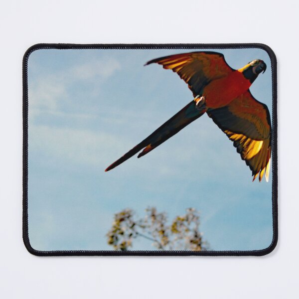 Item preview, Los Angeles Zoo designed and sold by supernova23.