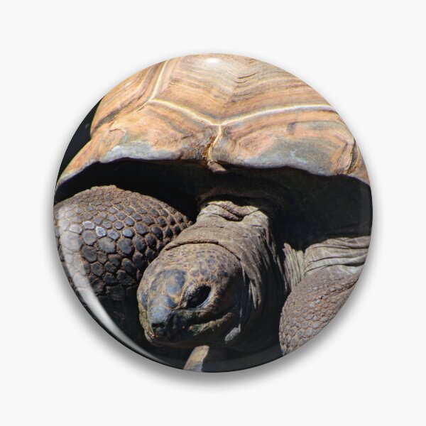 Item preview, Los Angeles Zoo designed and sold by supernova23.