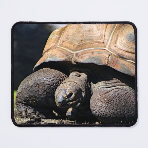 Item preview, Los Angeles Zoo designed and sold by supernova23.