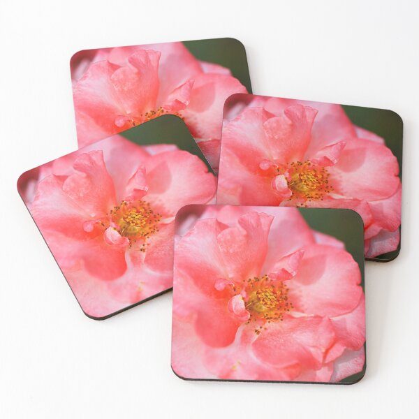 Item preview, Coral Toned Rose designed and sold by Joy Watson - Natural Light Photography .