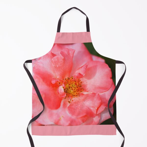 Item preview, Coral Toned Rose designed and sold by Joy Watson - Natural Light Photography .